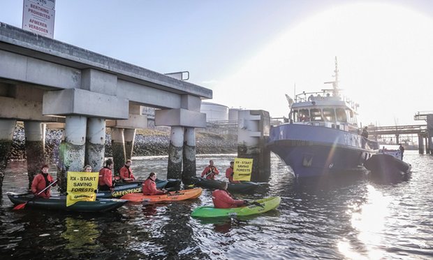 Greenpeace Blokir Dermaga Minyak Sawit IOI di Pelabuhan Rotterdam